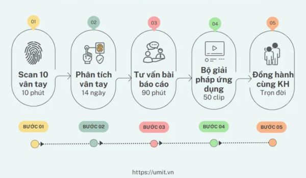 Quy trình báo cáo sinh trắc vân tay tại UMIT